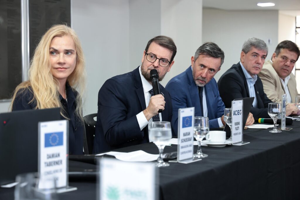 Reunião FEE